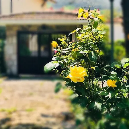 Casa La Blanca *